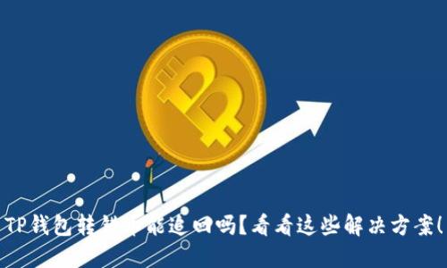 TP钱包转错币能追回吗？看看这些解决方案！